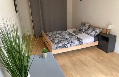 Cornebarrieu Apartamento | Loftimeet