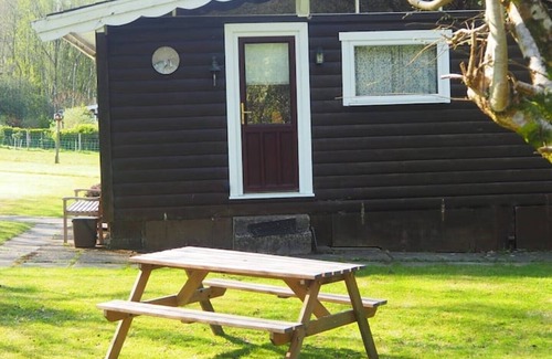 Dinas Mawddwy Cabina | Log cabin in stunning southern Snowdonia woodland.
