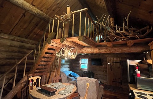Alma Cabina | Log cabin, log cabin sauna building, wildlife, orchards