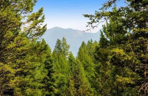 Bigfork Casa | Log Cabin Lookout