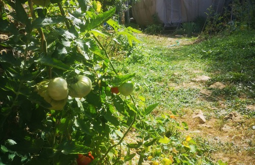 Cazals Cabina | Logements Nature et Soins Pour se Ressourcer