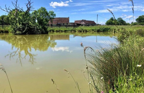 Villeneuve-en-Perseigne Apartamento | Logement au coeur d'un haras avec accès à l'étang