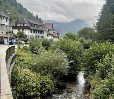 Hornberg Apartamento | Logement avec vue panoramique