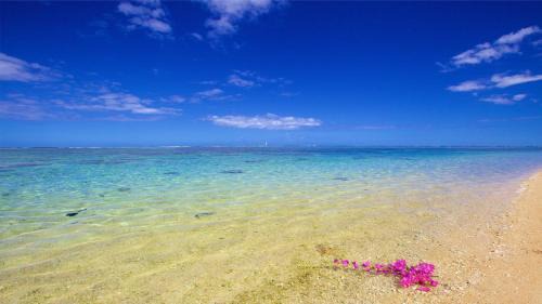 La Saline Les Bains Apartamento | Logement bord de mer
