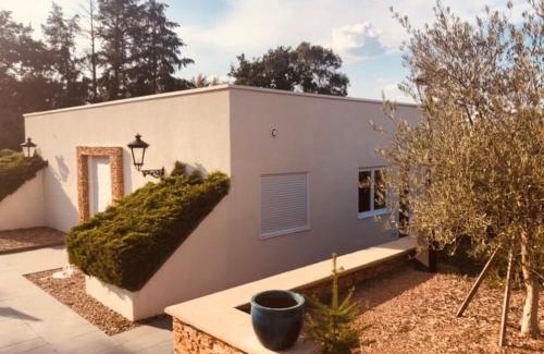 Commelle-Vernay Casa | Logement cadre Champêtre, entre ville et campagne