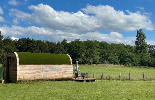 Monts-sur-Guesnes Apartamento | Logement insolite : La Ruche Verte
