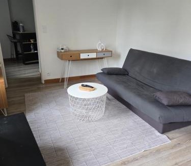 Ouzouer-sur-Loire Apartamento | Logement moderne équipé