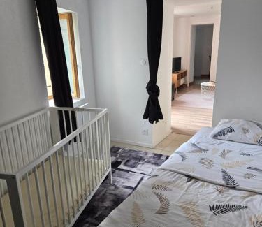 Ouzouer-sur-Loire Apartamento | Logement moderne équipé