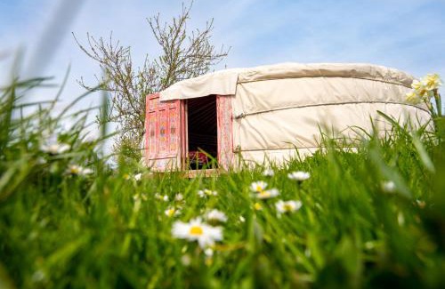 Farbus Casa | Logements insolites à la ferme - Yourte, Kota ou Pod