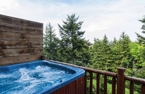 Snowshoe Condominio | Loggers Run Lane by Casago