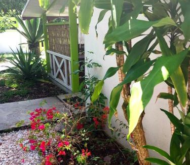 Sainte-Anne Apartamento | Logisrev