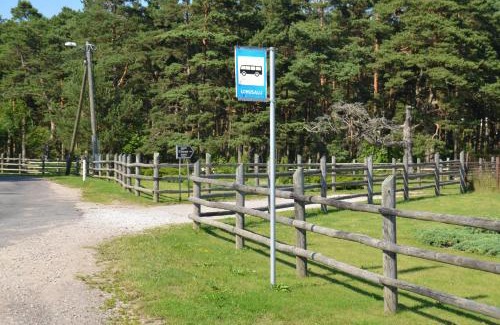 Lohusalu Apartamento | Lohusalu Apartment