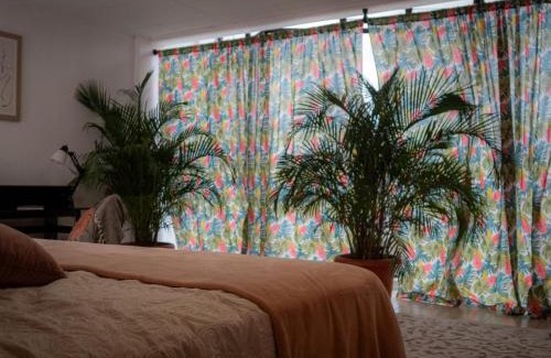 Barrio Chino Casa | Lolas Hostal Apartamento Equipado