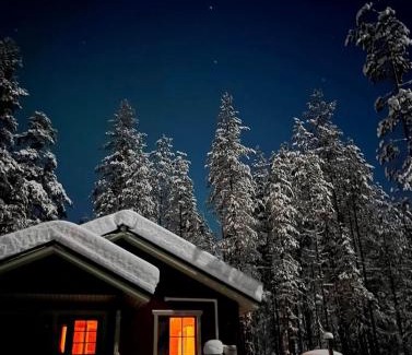 Syote Apartamento | Lomanaamanka Naava-hirsimökki