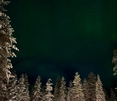 Syote Apartamento | Lomanaamanka Naava-hirsimökki