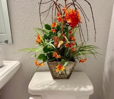 Round Rock Casa | Lone Star Oasis