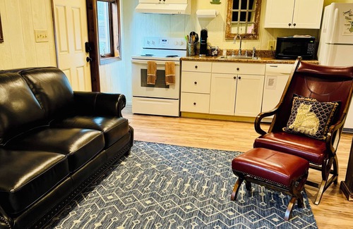 Lake Junaluska Apartamento | Lago Junaluska Jewel! Se admiten mascotas Estudio Apt con fabulosas vistas al lago y la montaña