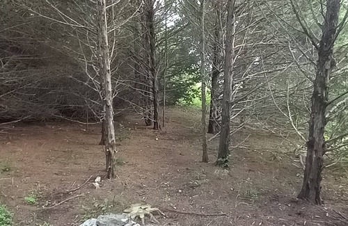 Elkland Alquiler De RV | Lonely Pine @B Berry Farms
