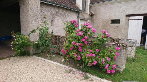 Saint-Jean-Saint-Germain Casa | Longère du sud Touraine au Coeur du Val de Loire