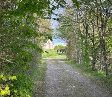 Landepereuse Casa | Longère normande avec piscine et jardin