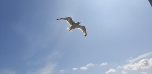 Den Helder Apartamento | Long Stay Den Helder
