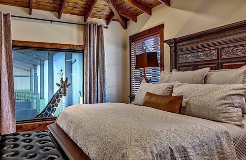 Fredericksburg Complejo | Longneck Manor