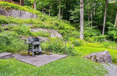Old Forge Casa | Loon Dance Landing - Waterfront Property on 1st Lake