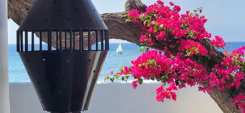 Playa Honda Villa | Loro Verde