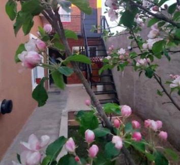 Río Gallegos Apartamento | Los alamos
