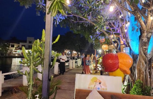Puerto Aventuras Apartamento | Los delfines apartment