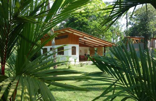 Cocles Casa | Los Delfines Lodge
