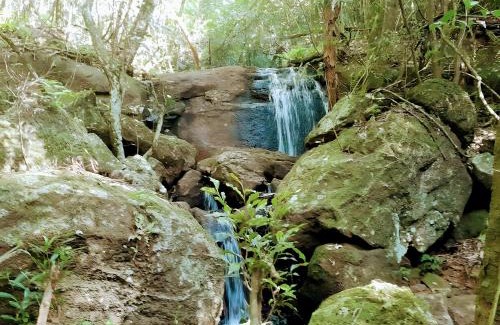 Oberá Complejo | Los Lapachos. La naturaleza es acá
