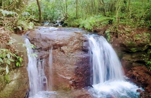Oberá Complejo | Los Lapachos. La naturaleza es acá