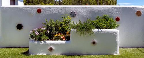 Carataunas Casa | Los Llanos Soportújar- La Alpujarra