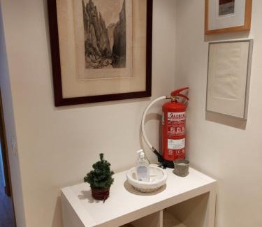 Felechosa Apartamento | Los Molinos