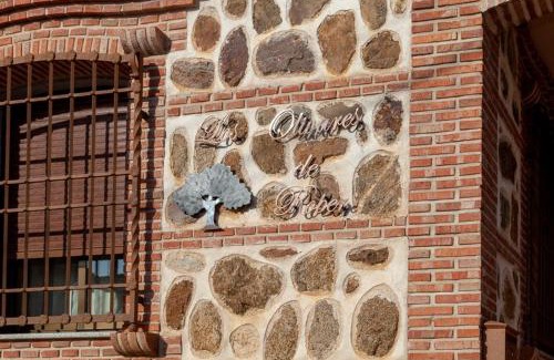 Polan Casa | Los olivares de Rober