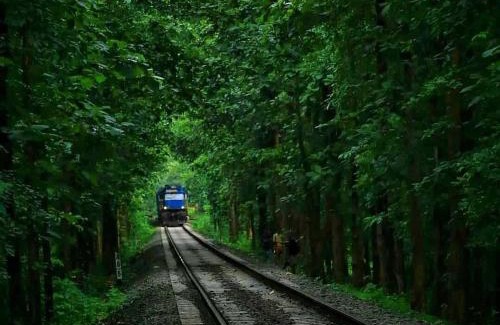 Malappuram Casa | Lose yourself in natures luxury