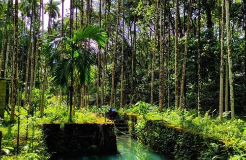 Malappuram Casa | Lose yourself in natures luxury