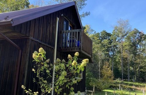 Spring Mills Cabaña | Lost Dutchman Retreat Cottage