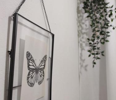 San Lorenzo Casa | Lost In Florence