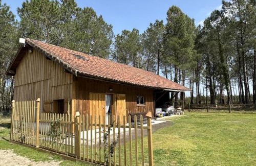 Linxe Casa | Lou coutiot