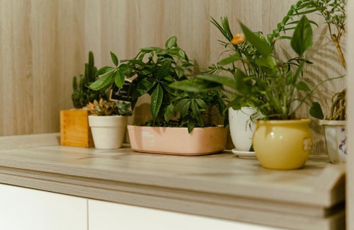 District 4 Apartamento | Louisa The Gold View Apartment