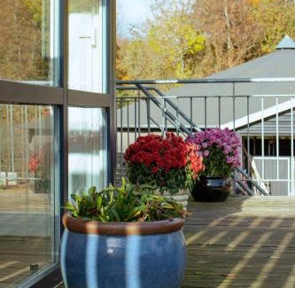 Skovbyballe Cama Y Desayuno | Louiselund Bed & Breakfast