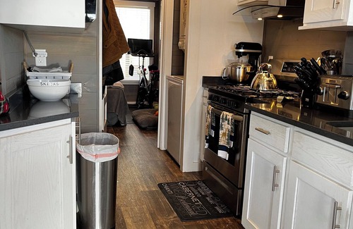 Chesterfield County Casa | Love Highland Cows? Experience them up close in our tiny house in Jefferson, SC