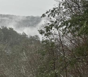 Blue Ridge Chalet De Esquí | Love Nest in Blue Ridge