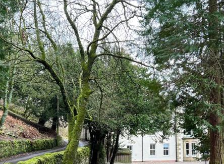 Alston Casa | Lovelady Shield Hotel - Full House