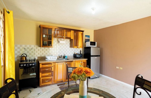Mandeville Apartamento | Lovely 1-bedroom apartment in Mandeville with WiFi, AC in safe and private area