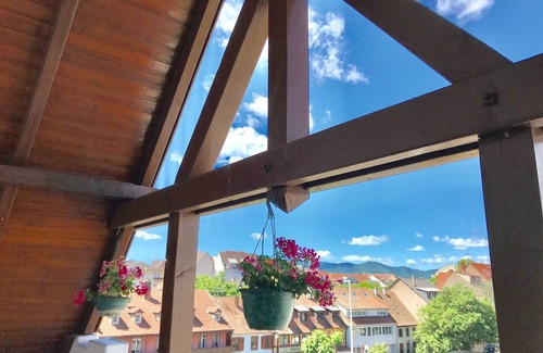 Quartier Saint-Leon Apartamento | Lovely 3* Apartment Colmar Center with A/C Terrace with View and Private Parking