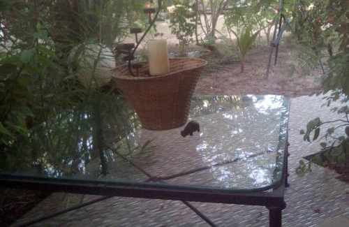 Sanyang Casa | Lovely 3-Bdrm Cottage w Private Patios Pkg Sanyang