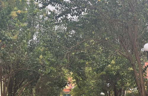 Nairobi Upper Hill Casa | Lovely 4-bedroom Business Friendly house in Nairobi